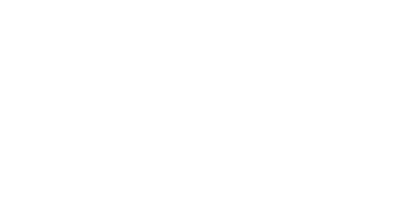 Ø 90/4 H=14.2mm STABILE 2 SEKTORY